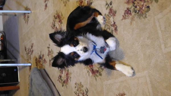 /Images/uploads/Humane Society of Utah/HSUCalendar/entries/778thumb.jpg